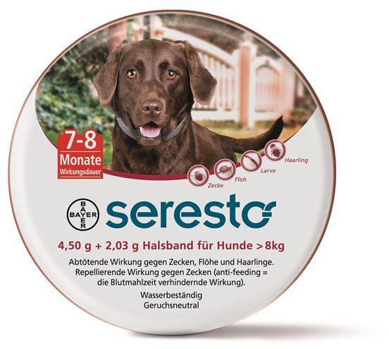 Bayer Seresto Halsband für große Hunde über 8 kg online bestellen